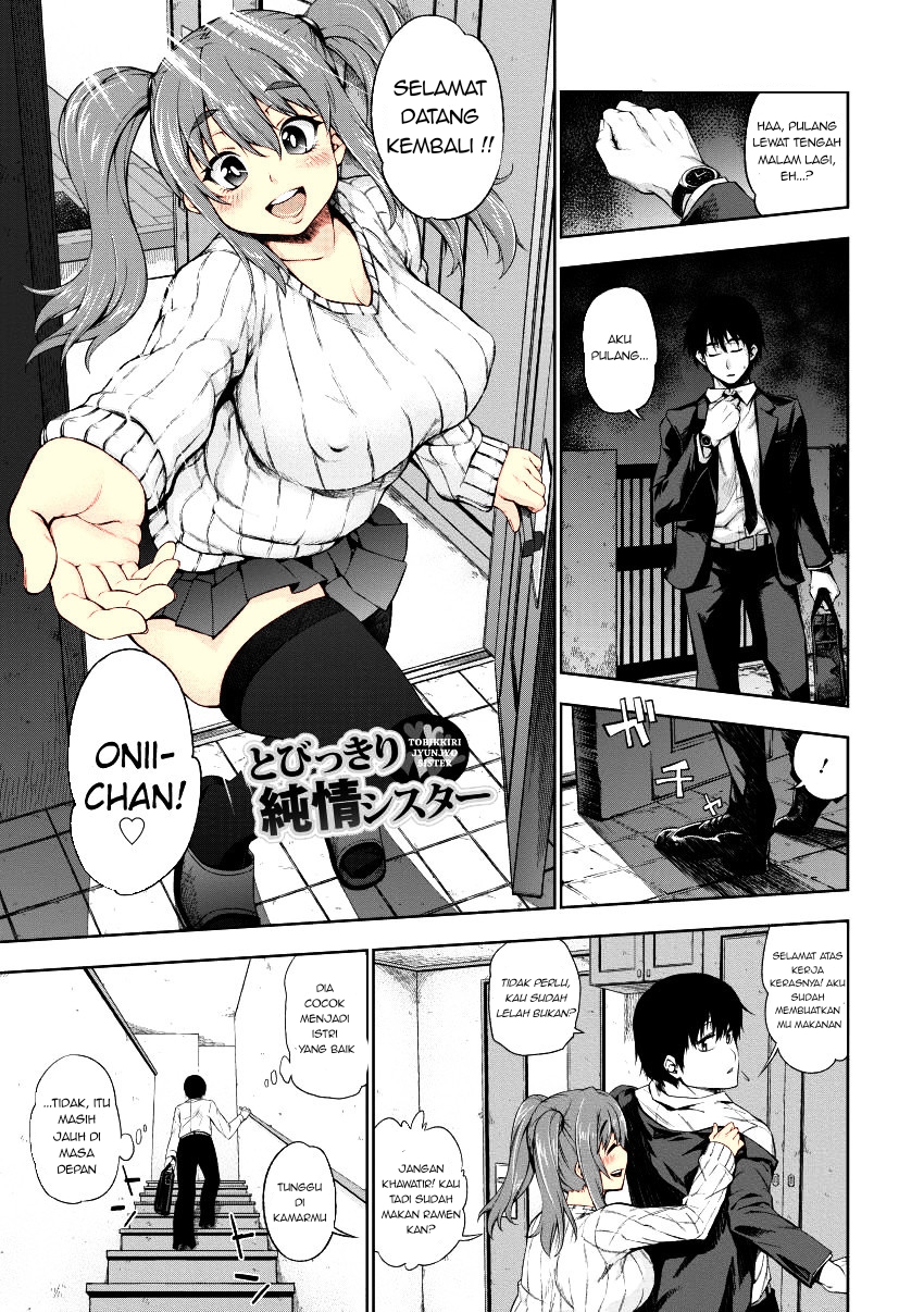 Tobikkiri Junjou Sister Tobikkiri Junjou Sister